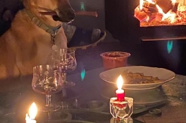 Black Mouth Cur