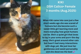 Calico