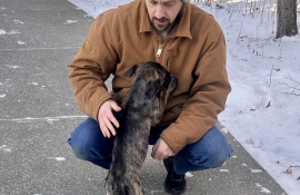 Mixed Breed Mixed Breed